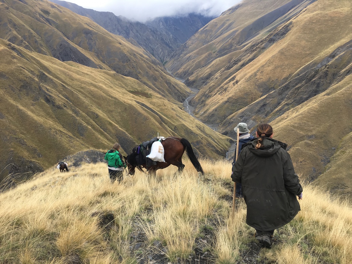 Azerbaidjan Azerbaijan hikes horseback riding rando cheval