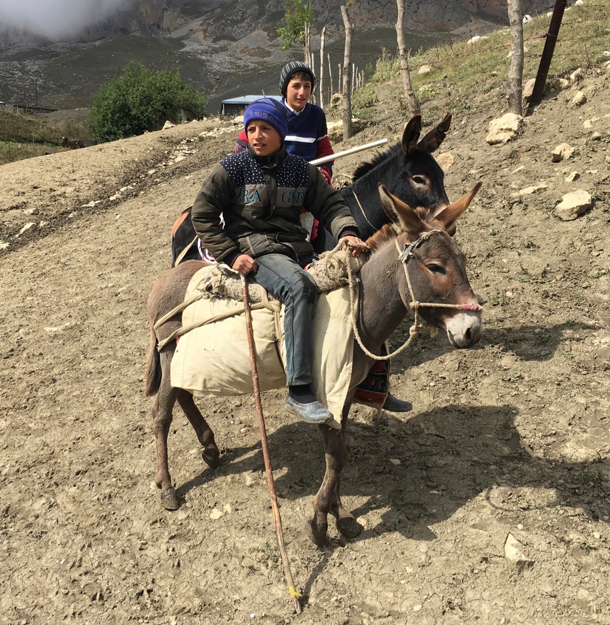 Azerbaijan horseback trail hikes