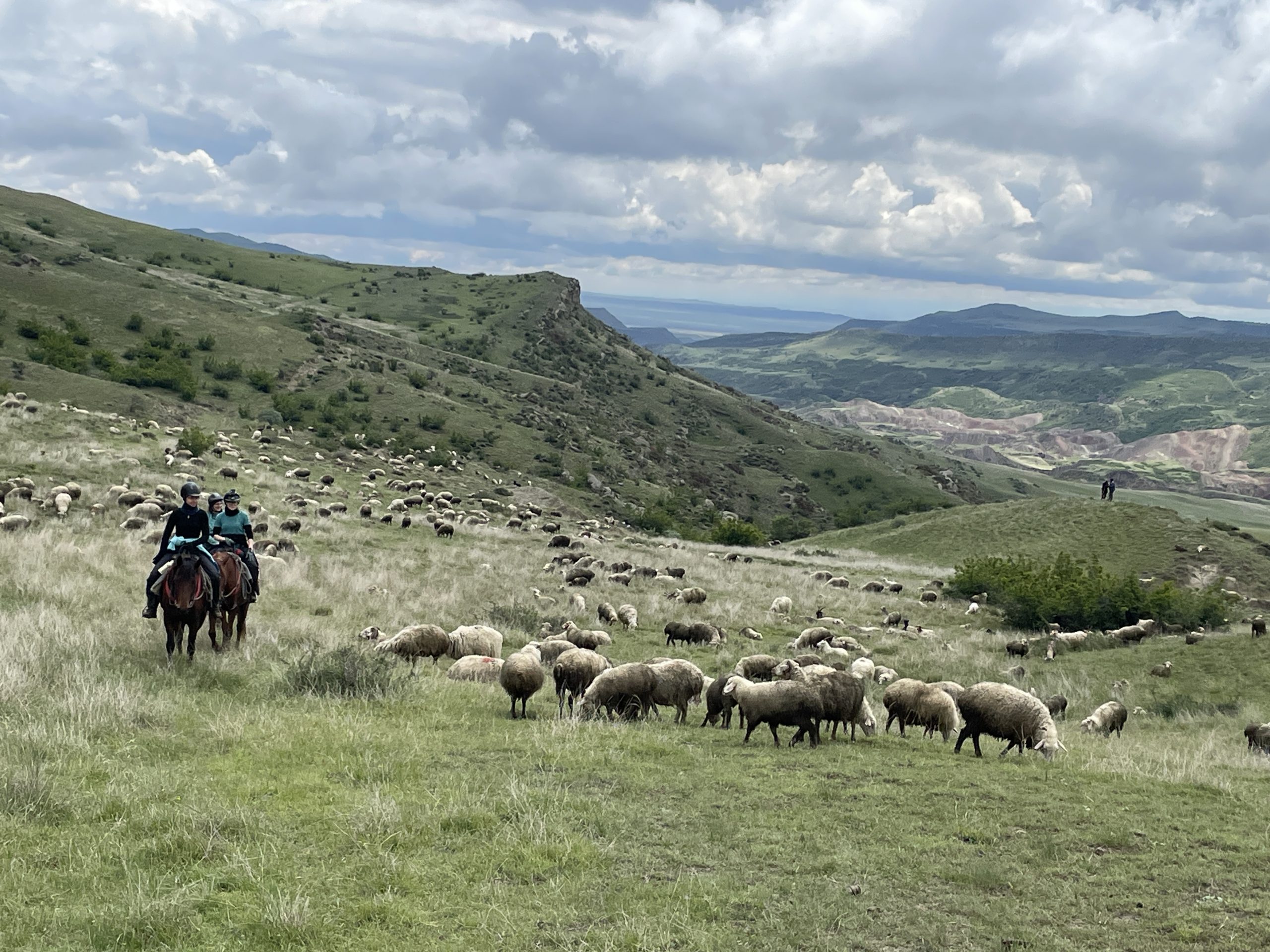 EXPEDITION EQUESTRE PRINTEMPS SEMI DESERT UDABNO & MONASTERES horseback riding