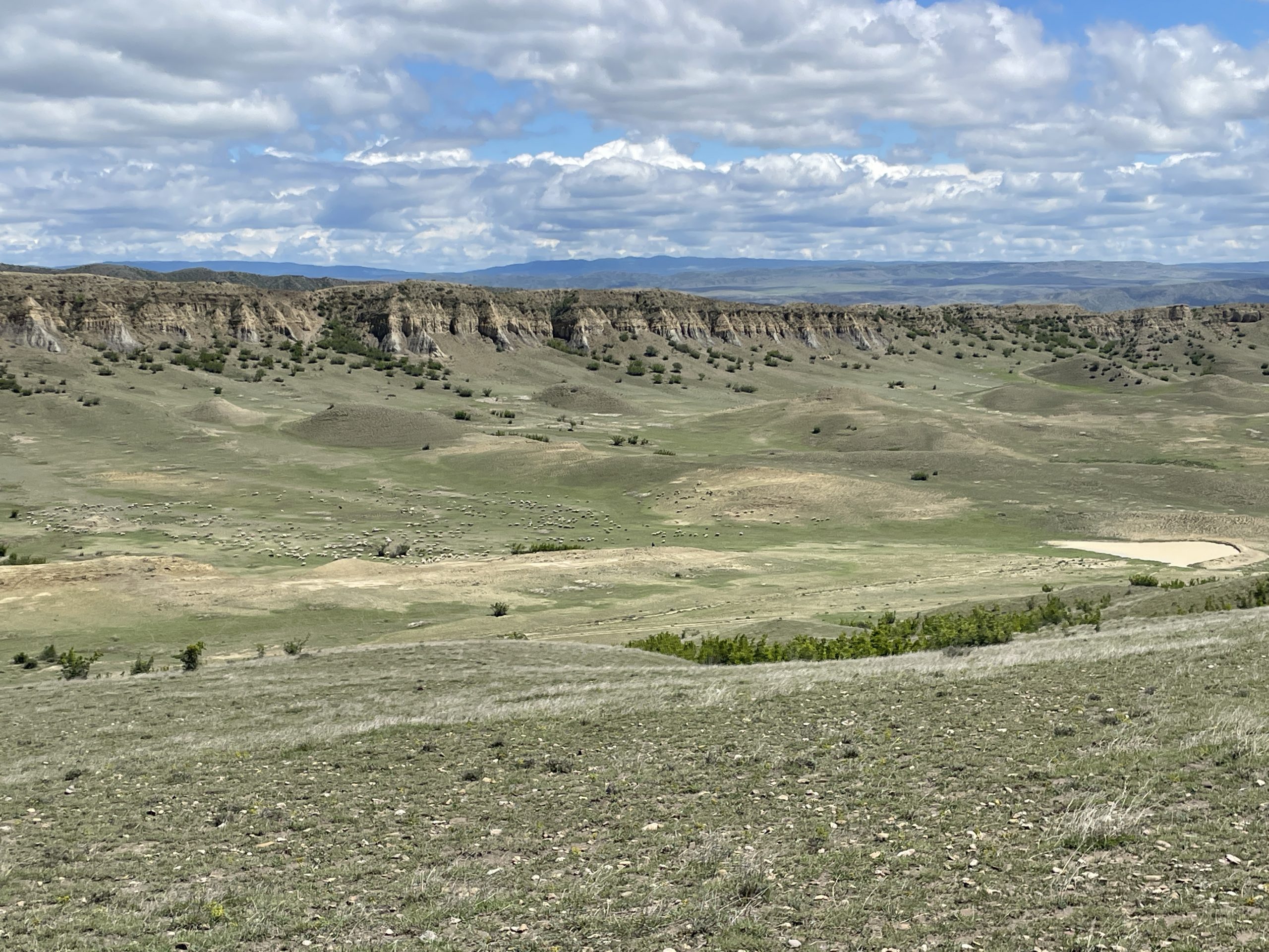 EXPEDITION EQUESTRE PRINTEMPS SEMI DESERT UDABNO & MONASTERES horseback riding