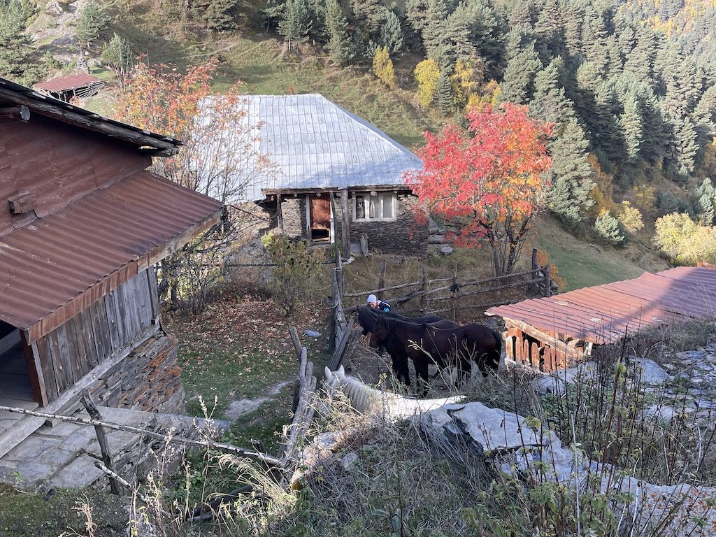 Transhumance à cheval équestre horse riding