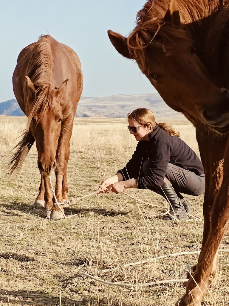 Udabno Desert ride horse rando cheval kakhetie