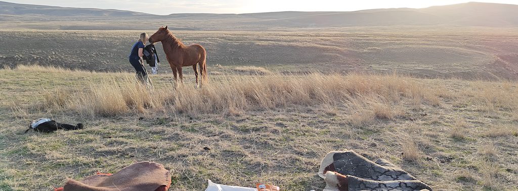 Udabno Desert ride horse rando cheval kakhetie