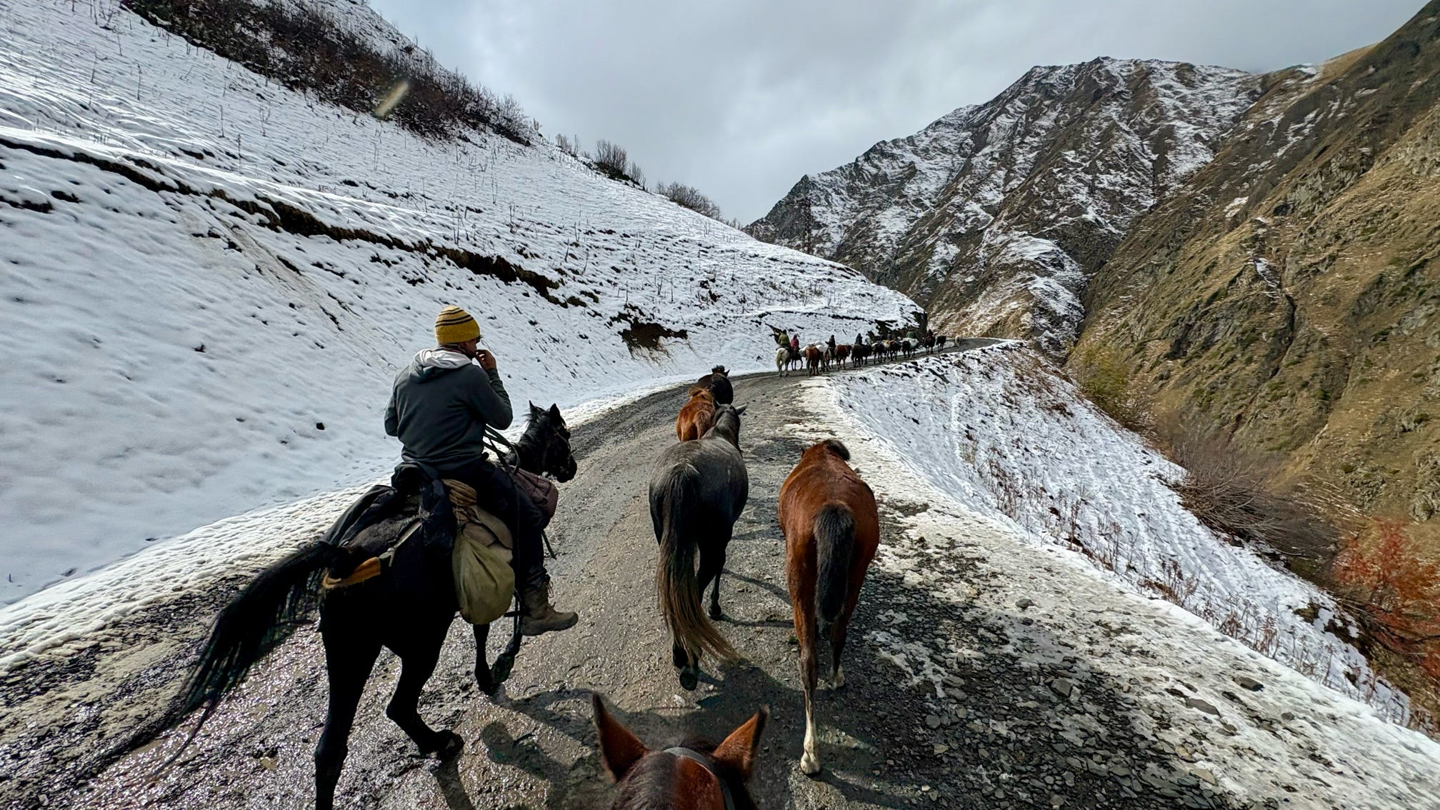 Transhumance 9_194323_5CD8EE