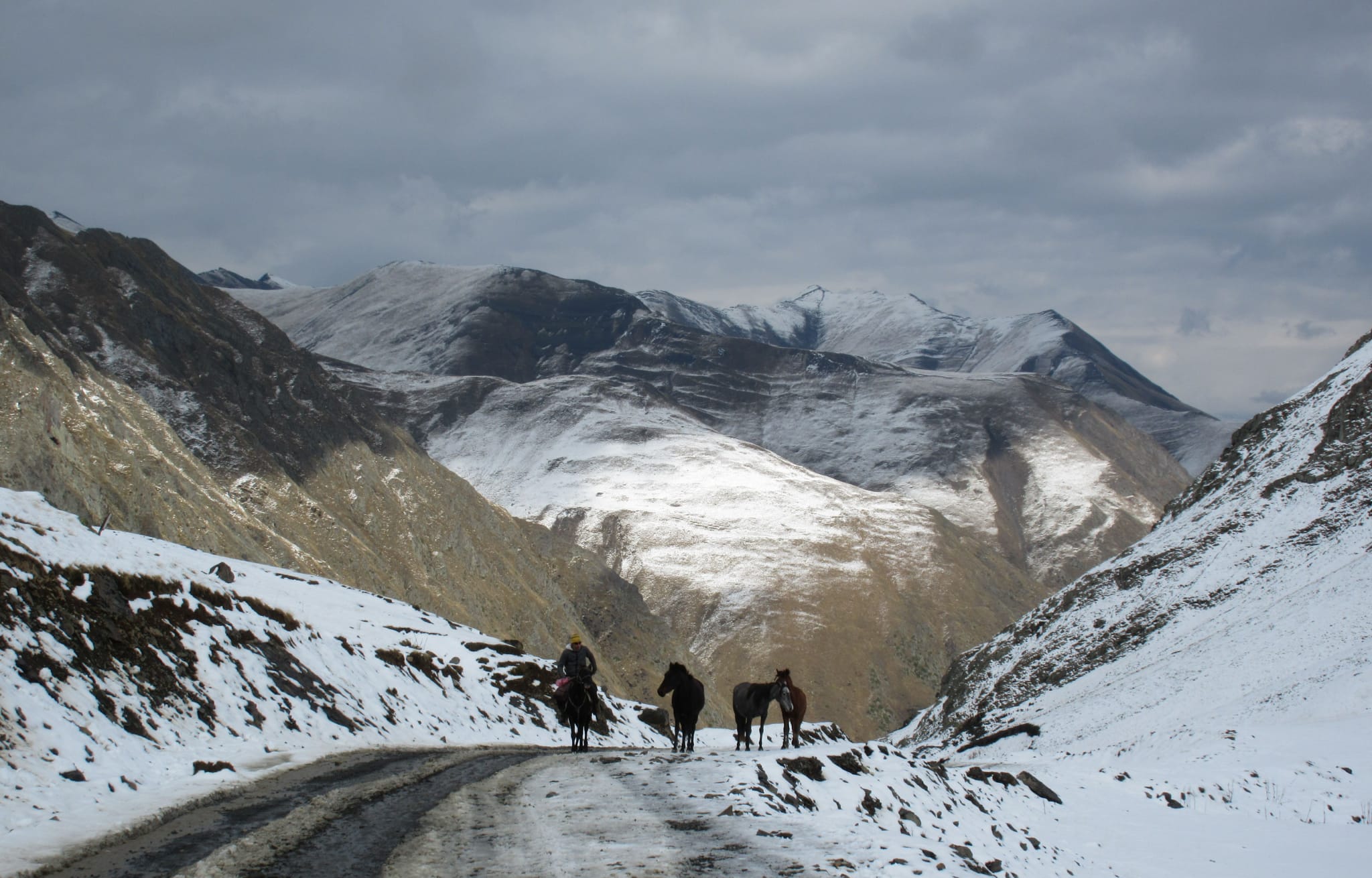 Transh retour COMP _214526_585663