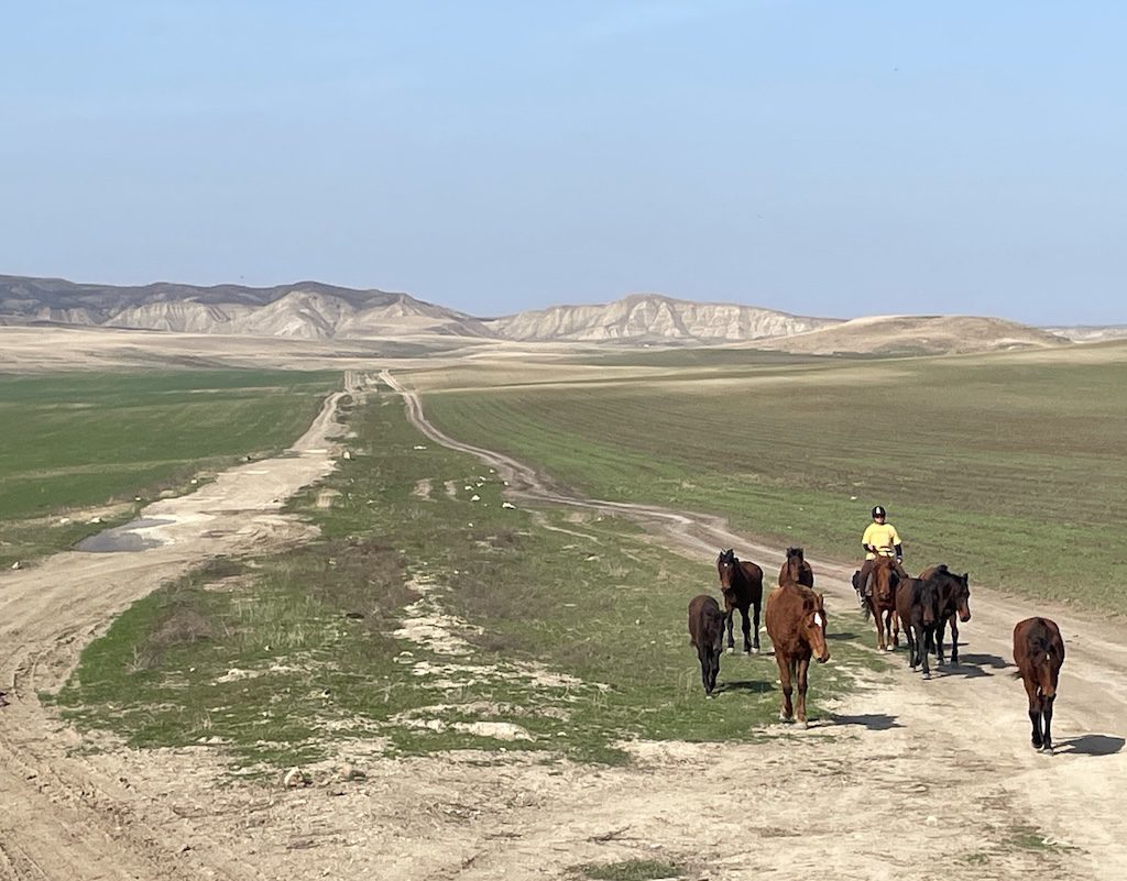 crossing udabno 3878